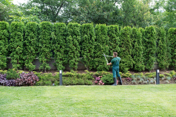 Reliable Gurnee, IL Tree Removal and Landscaping Services Solutions